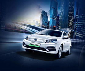 中國(guó)三大巨頭搶占租賃市場(chǎng) 比亞迪不再是霸主